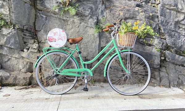 Vintage Bike Hire Mint Green